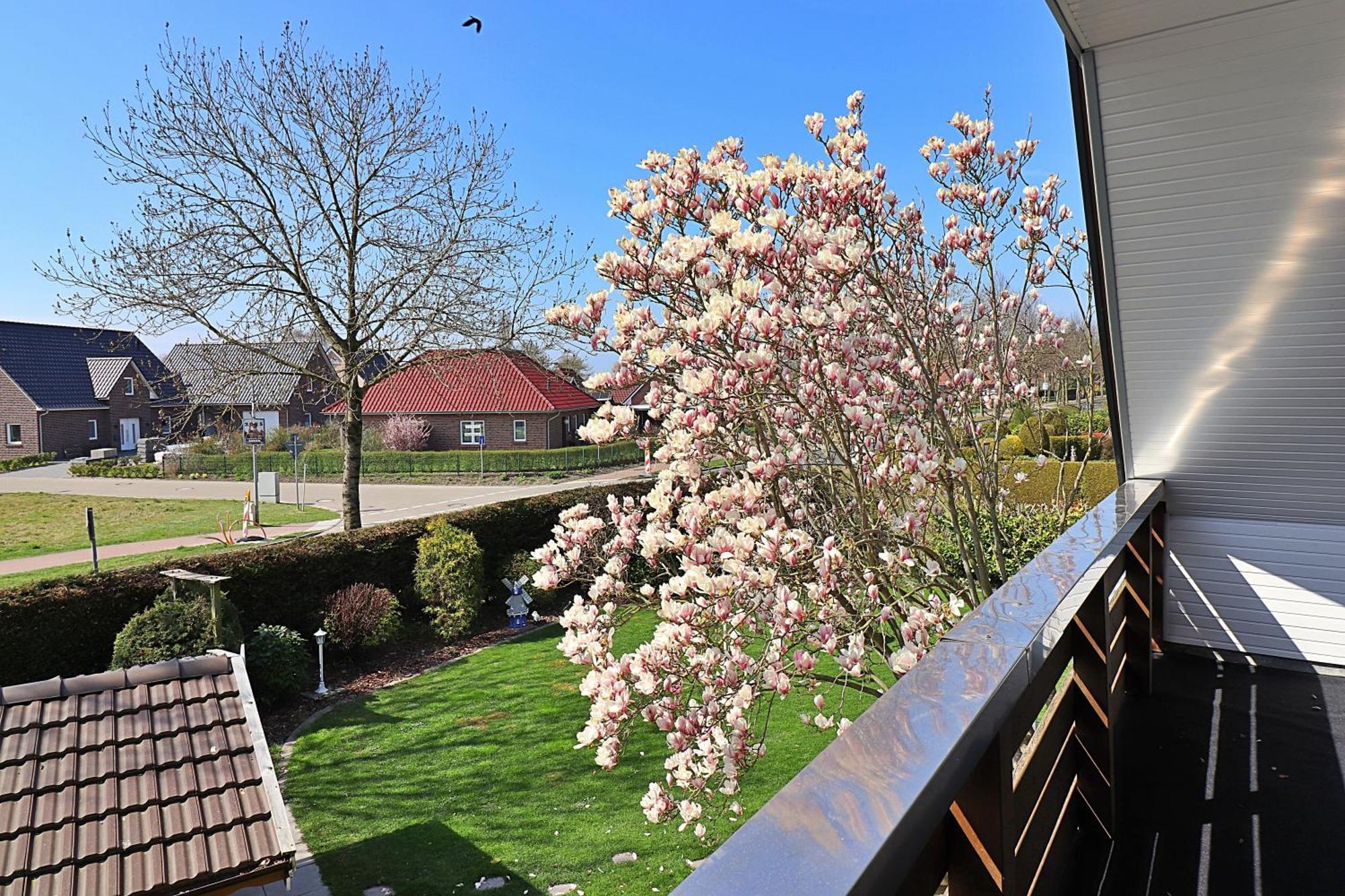 Ferienwohnungen "Zur Friesen Freude" - Nur Fuer Feriengaeste Dornum Exterior foto